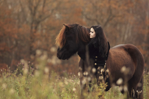 Herbstshooting Pferd